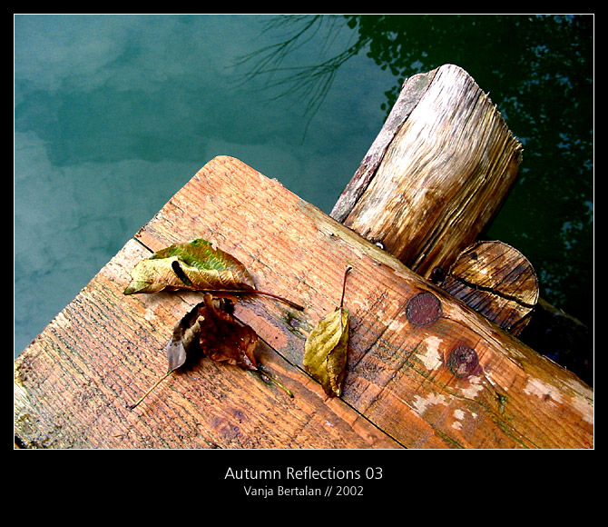 Autumn.Reflections.03 by njava