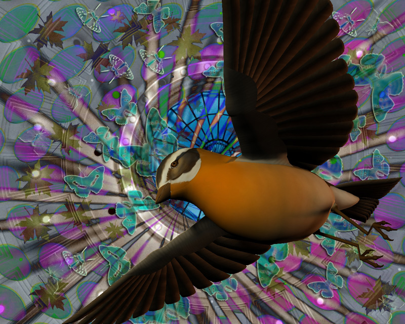 Birds of Paradise by ozi2002ris