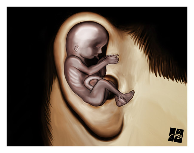 Baby ear by devianTom